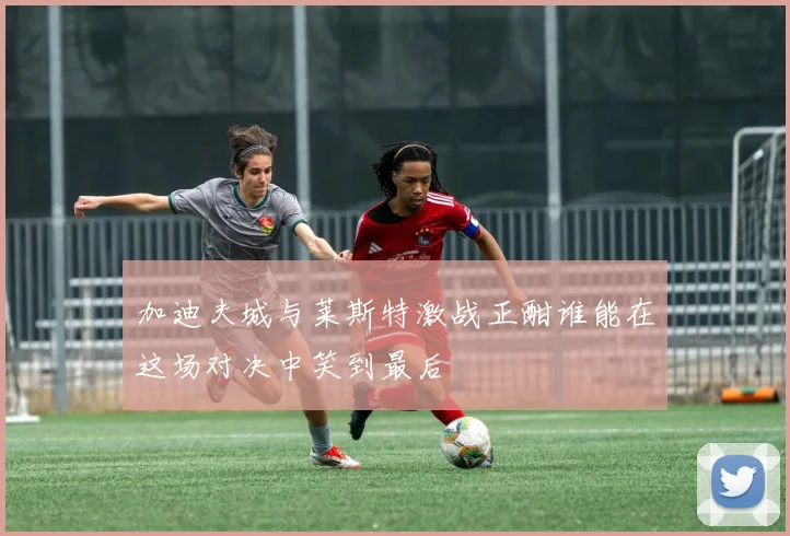 加迪夫城与莱斯特激战正酣谁能在这场对决中笑到最后