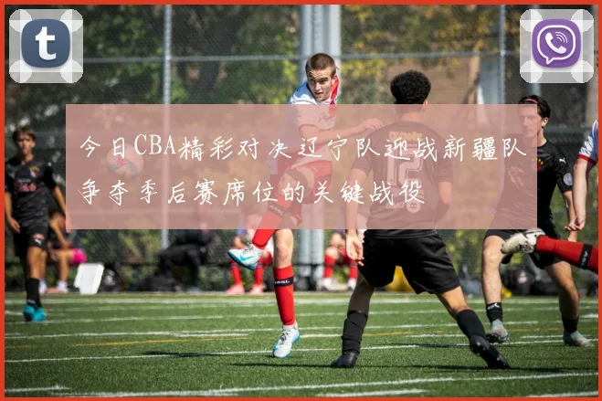今日CBA精彩对决辽宁队迎战新疆队争夺季后赛席位的关键战役
