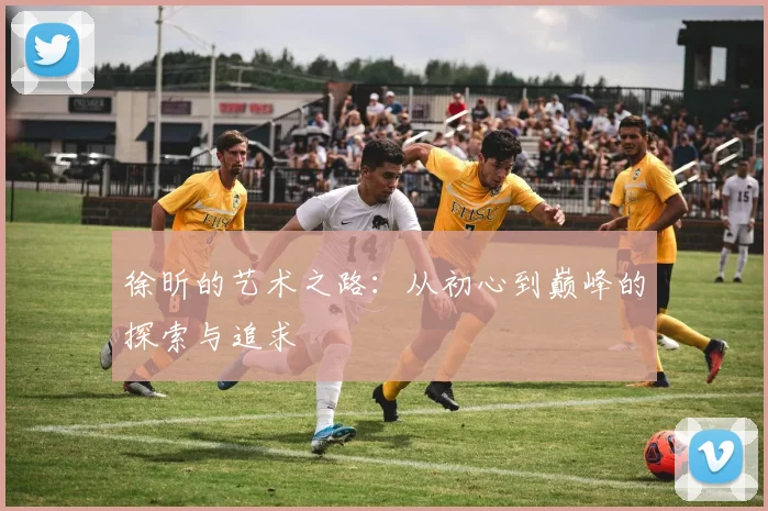 徐昕的艺术之路：从初心到巅峰的探索与追求