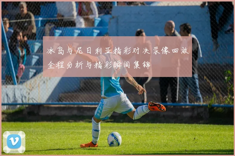 冰岛与尼日利亚精彩对决录像回放全程分析与精彩瞬间集锦