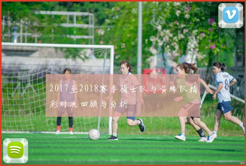 2017至2018赛季骑士队与黄蜂队精彩对决回顾与分析