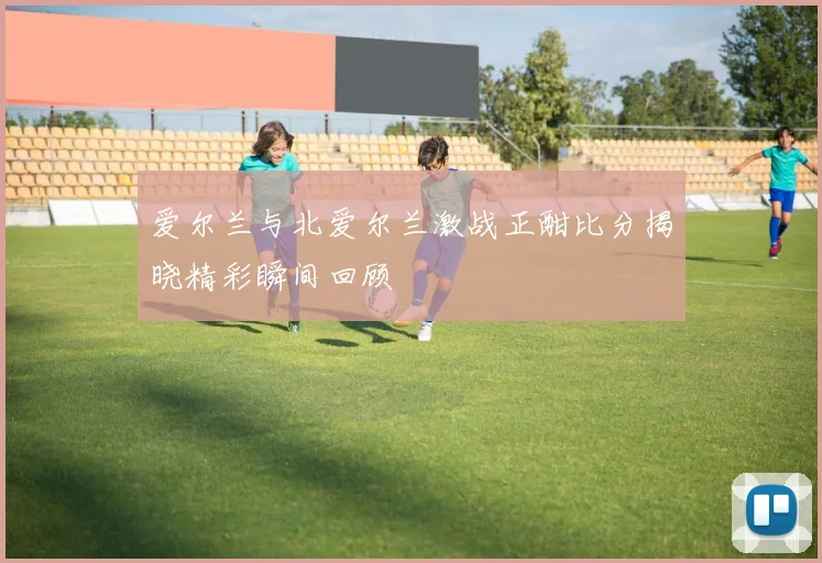 爱尔兰与北爱尔兰激战正酣比分揭晓精彩瞬间回顾