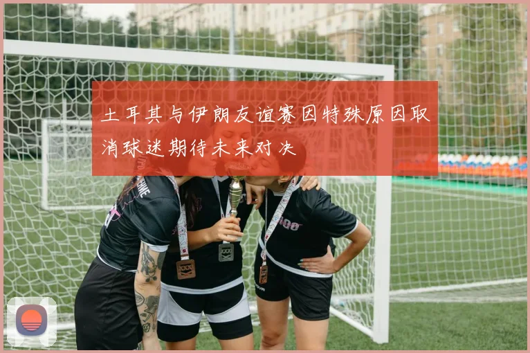 土耳其与伊朗友谊赛因特殊原因取消球迷期待未来对决